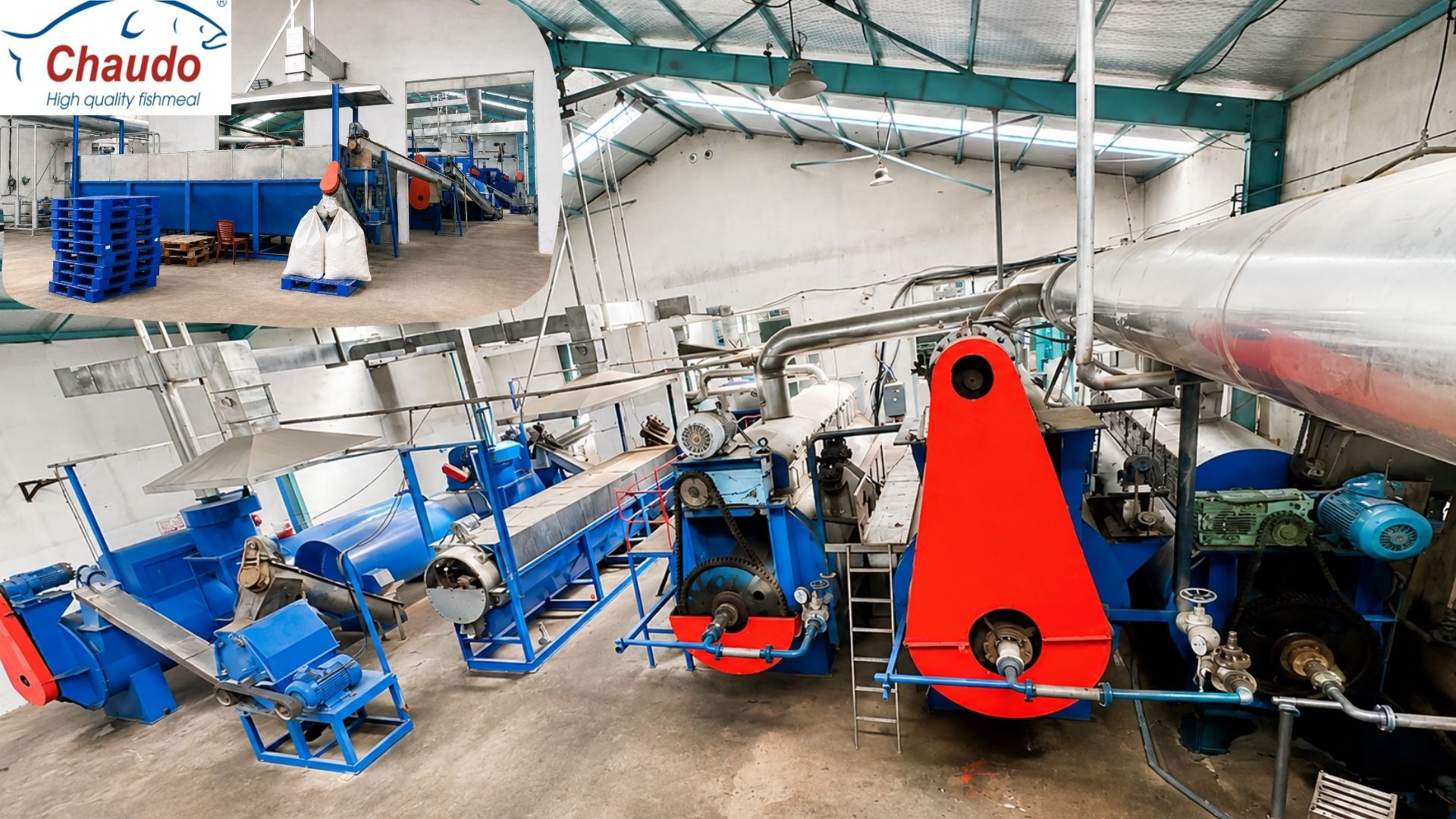 Sản xuất bột cá chất lượng cao