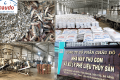 From fresh marine resources to international markets