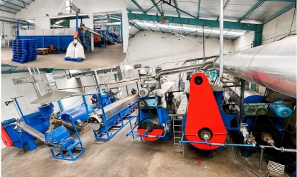 Kiểm soát đồng bộ trong dây chuyền sản xuất bột cá