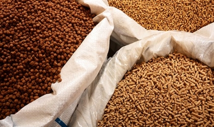 Animal feed businesses: Difficult to maintain market share