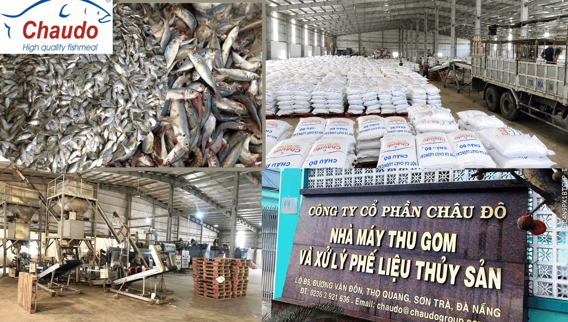 From fresh marine resources to international markets